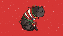 Load image into Gallery viewer, Pack of 8 Holiday Gift Tags - Cat in Xmas Lights