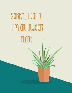 I'm An Indoor Plant