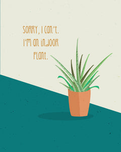 Sorry, I can’t. I’m an indoor plant