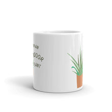 Load image into Gallery viewer, Indoor Plant