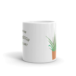 Indoor Plant