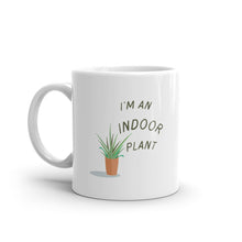 Load image into Gallery viewer, Indoor Plant