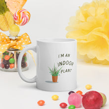 Load image into Gallery viewer, Indoor Plant