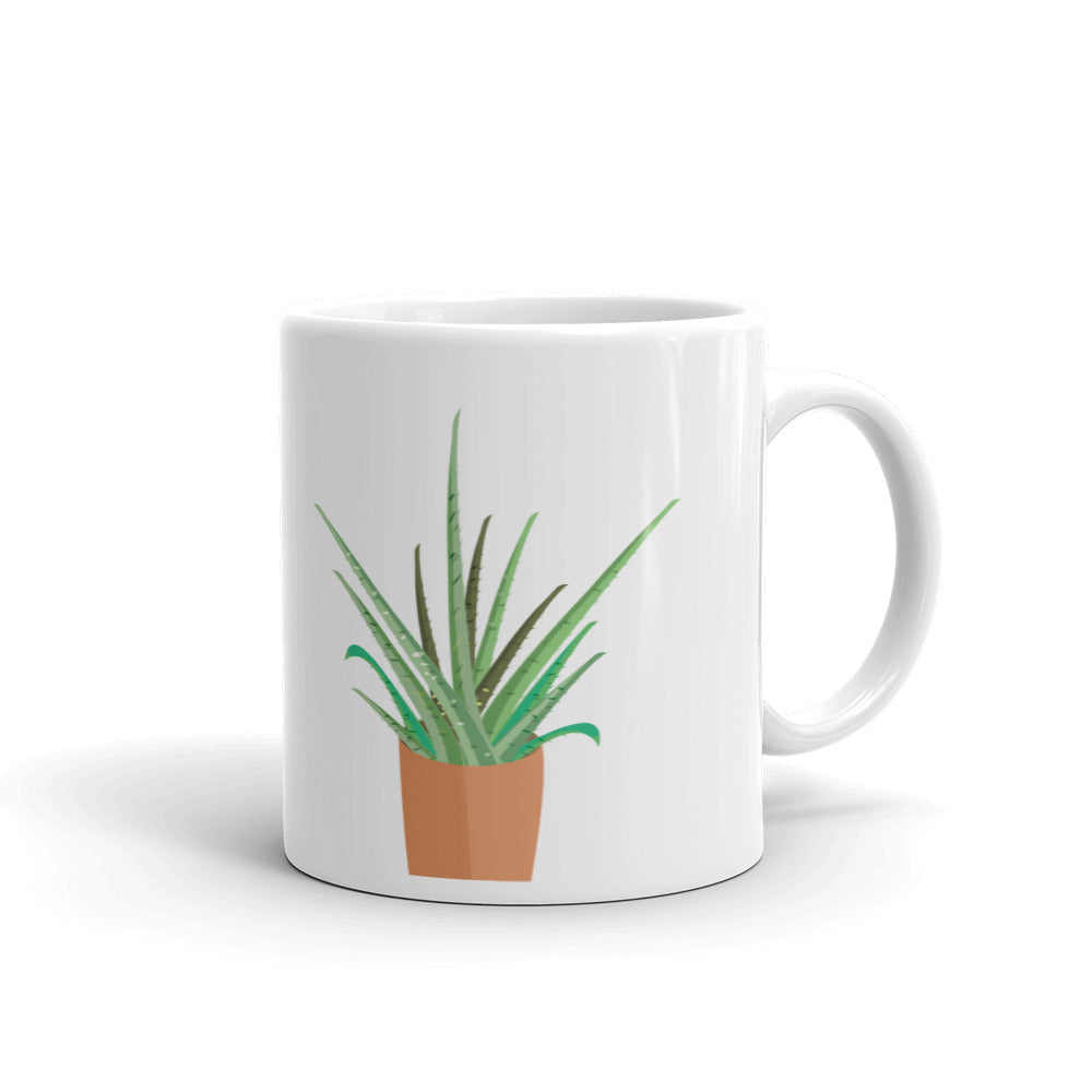 Indoor Plant