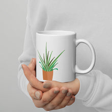 Load image into Gallery viewer, Indoor Plant