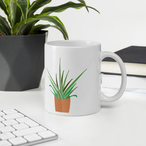 Indoor Plant
