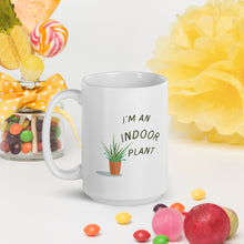 Load image into Gallery viewer, Indoor Plant