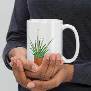 Indoor Plant
